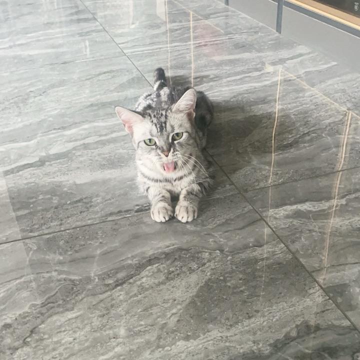 请勿打扰