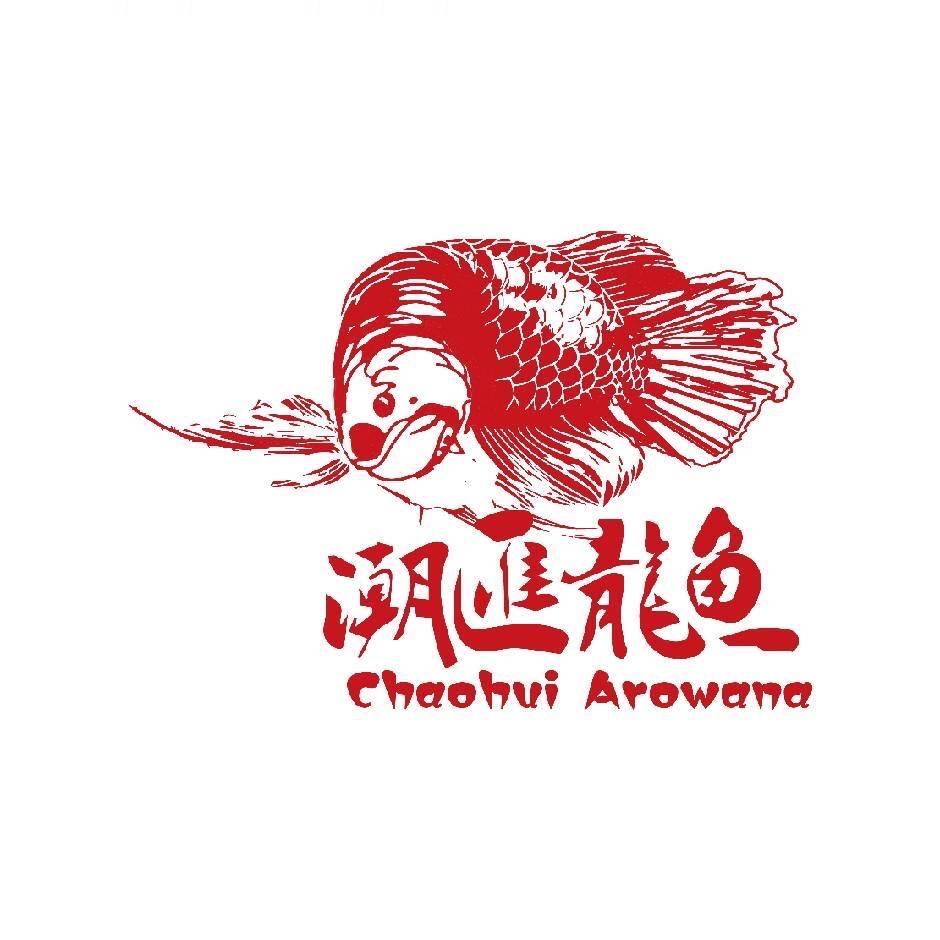 潮汇立达龙鱼商贸