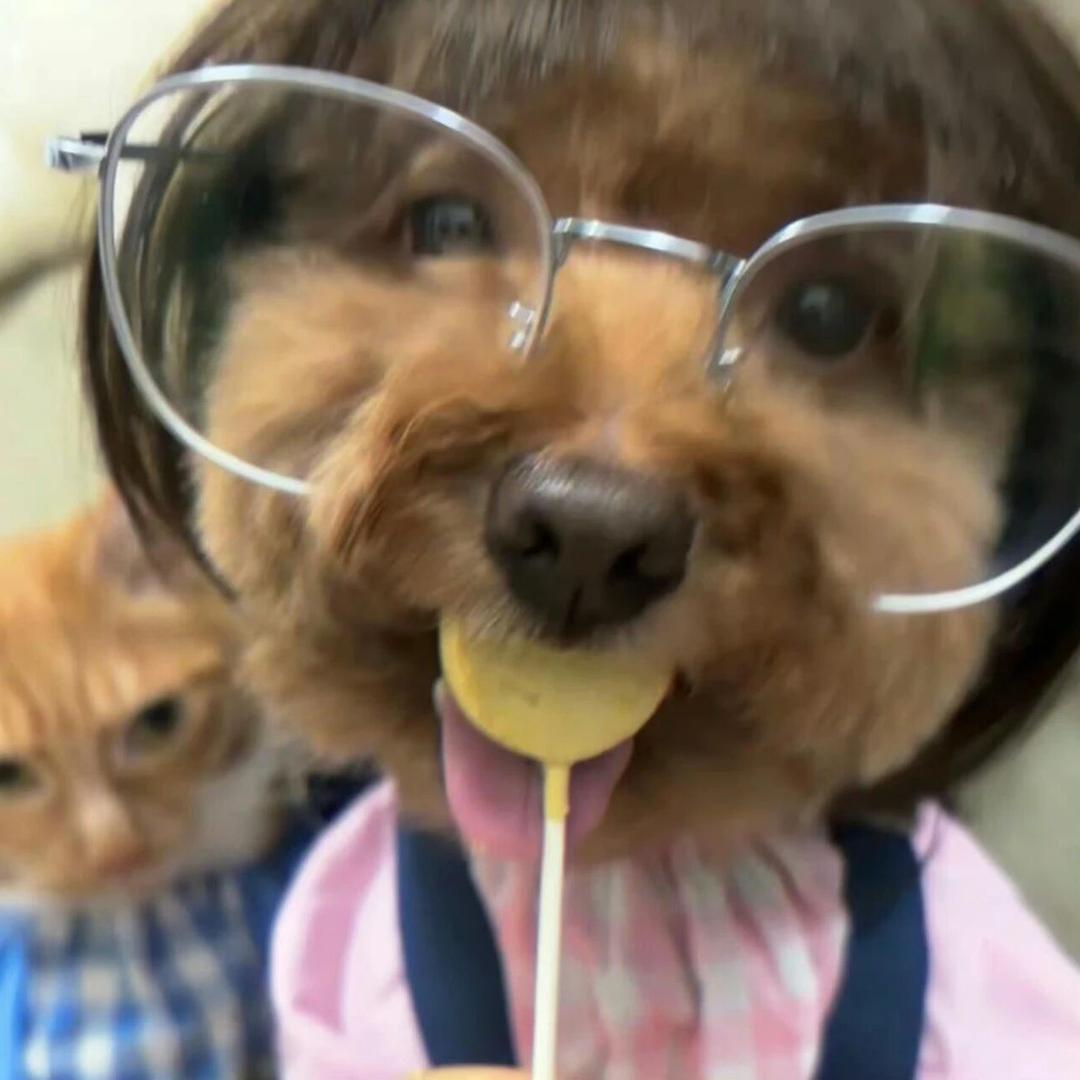 木木返场小超市