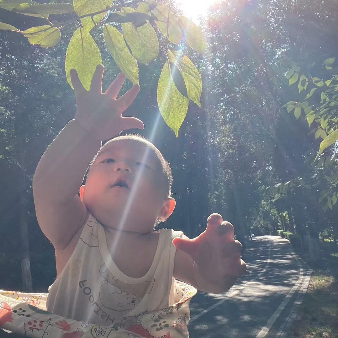 芯芯