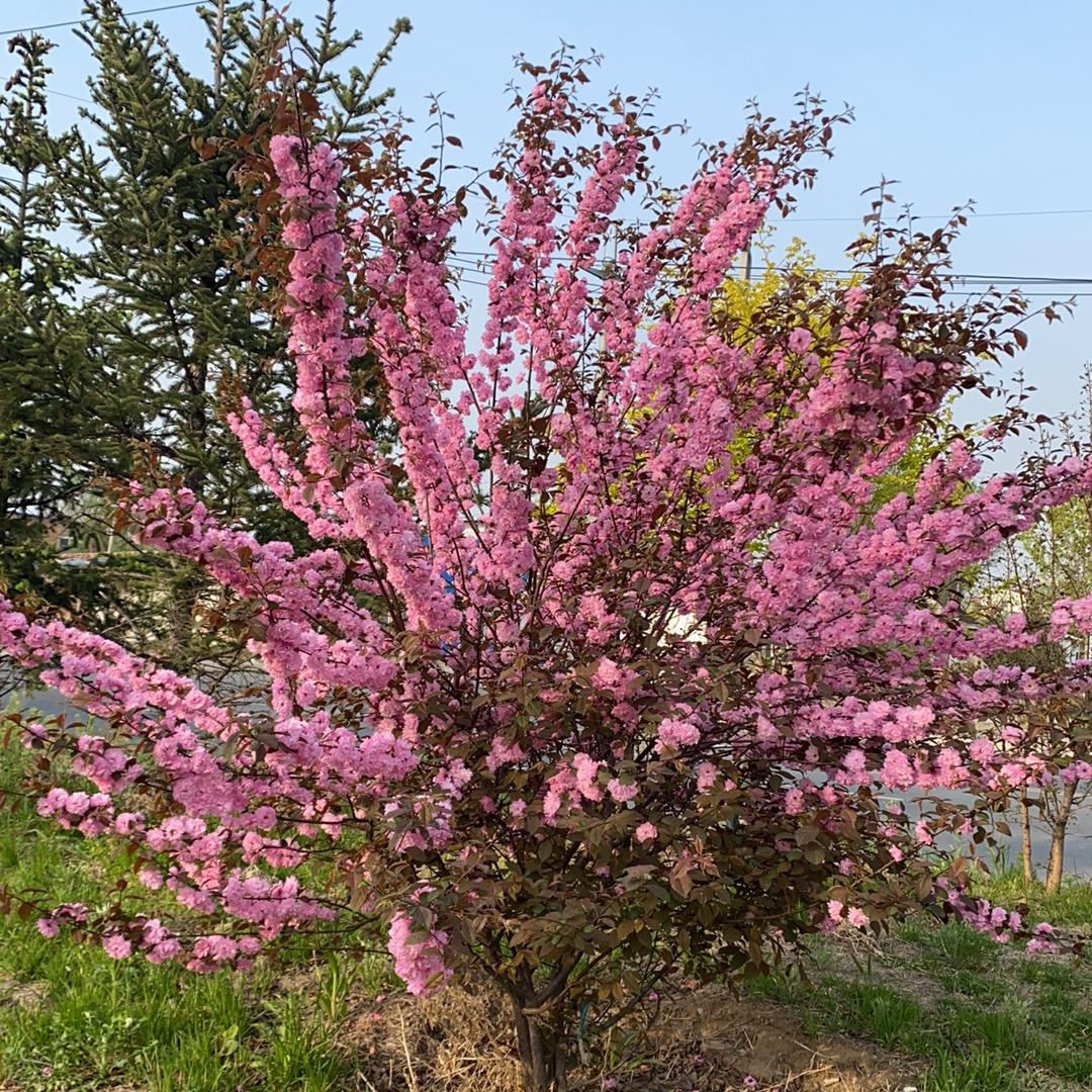 越来越好🌈🌈