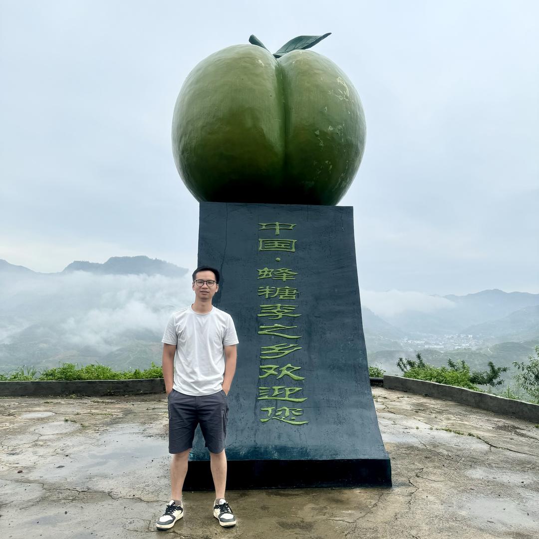 步川蜂糖李