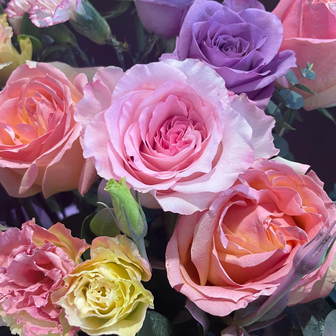 🌺💕🌸🌸🌸