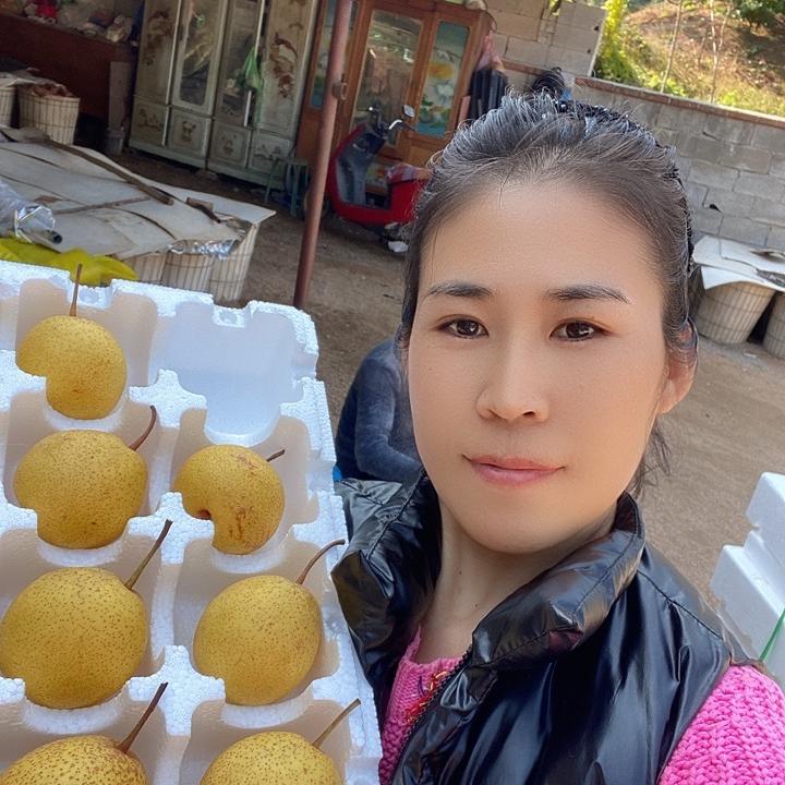 绥中美梨乡村 苗苗