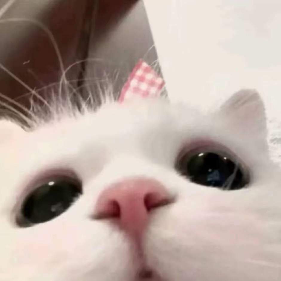 5u_
