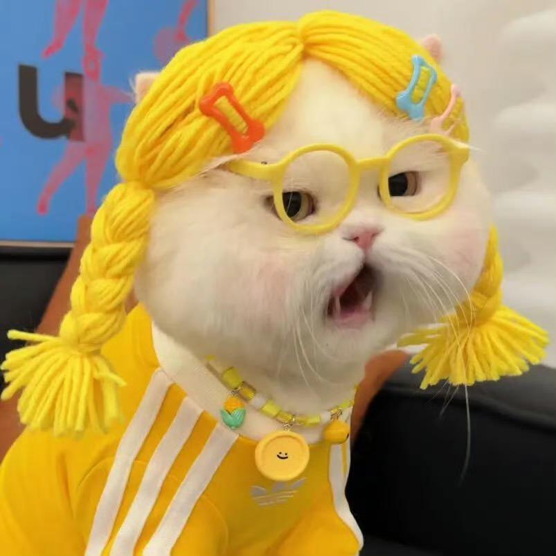 貟