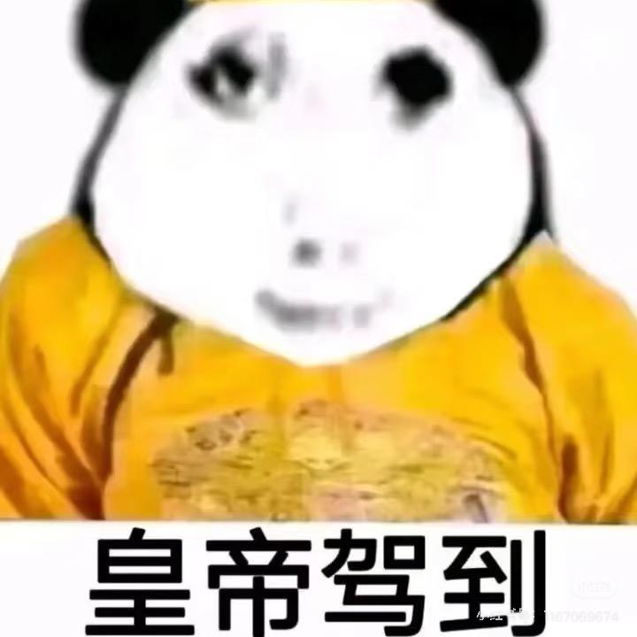 孑乃的白雪