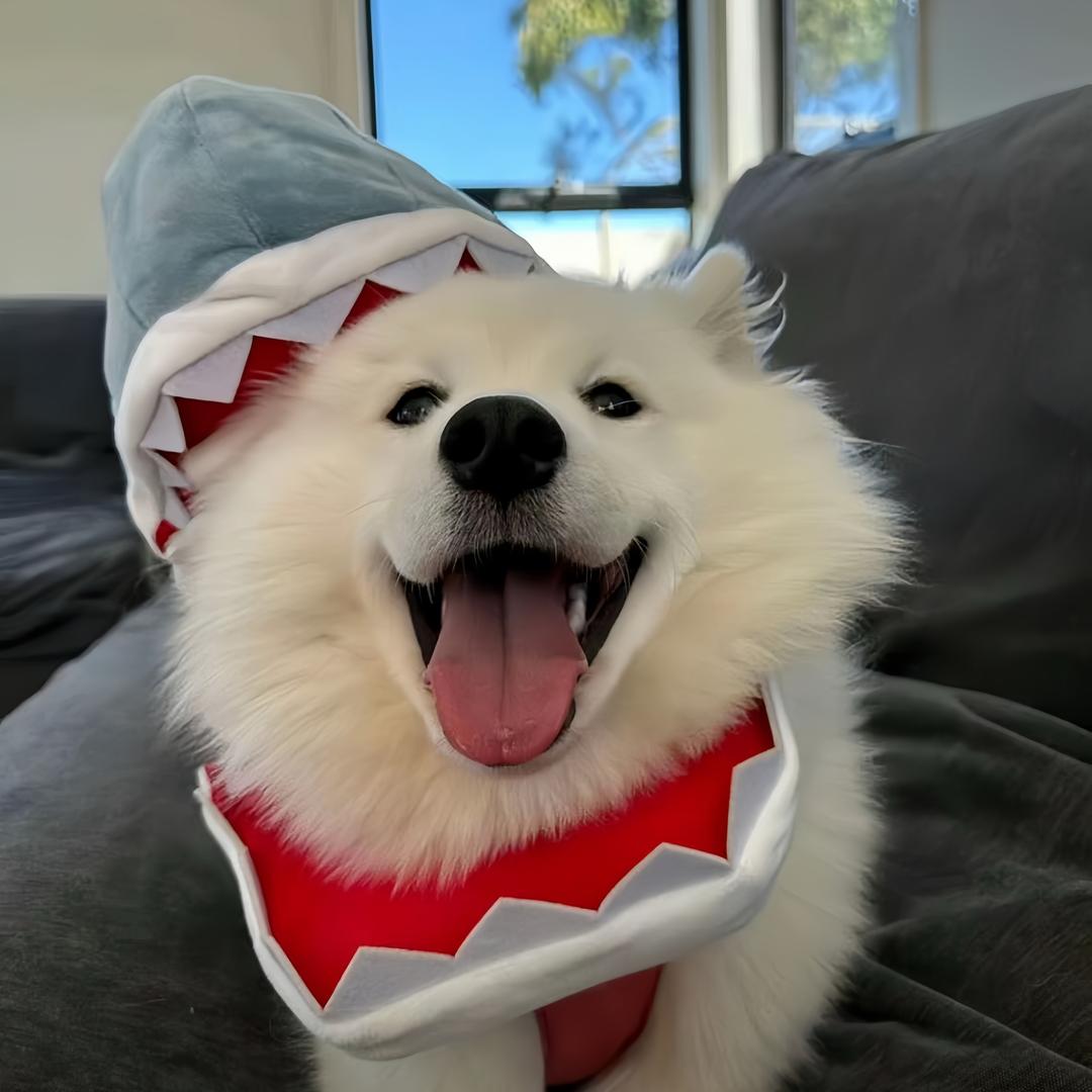 耶耶🥥见过莎头混双3.0版🍟