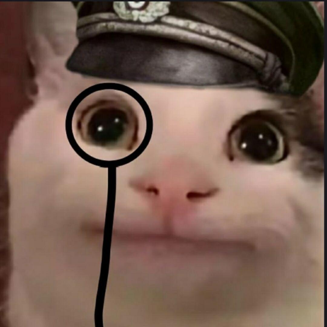 世界一流退学
