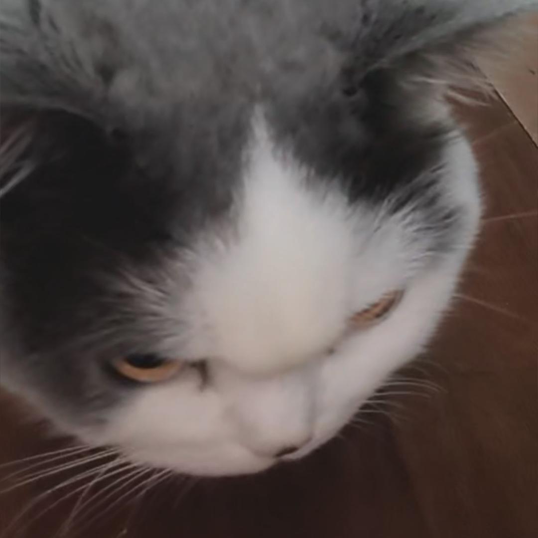 张起呗