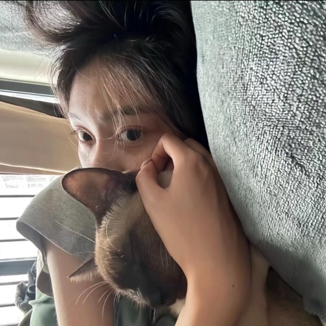 猪猪～
