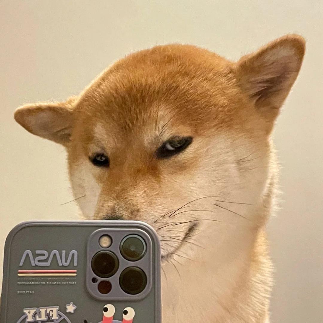 摩托佬