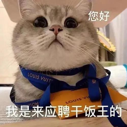汪汪队开大会…^_^