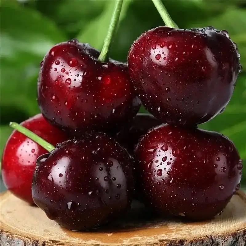 哈妮妮—车厘子🍒季