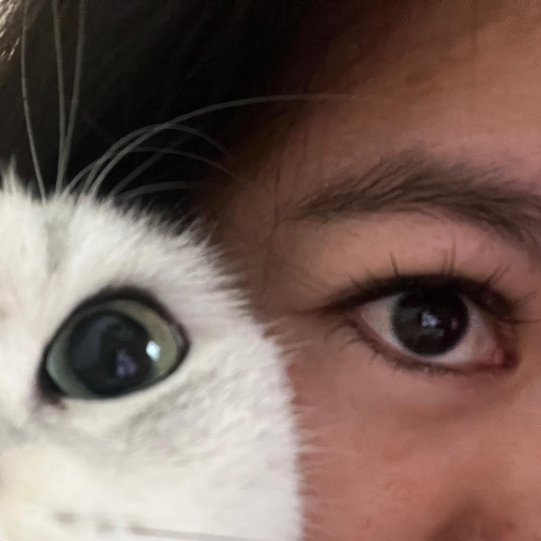 柠黄mini美式特调
