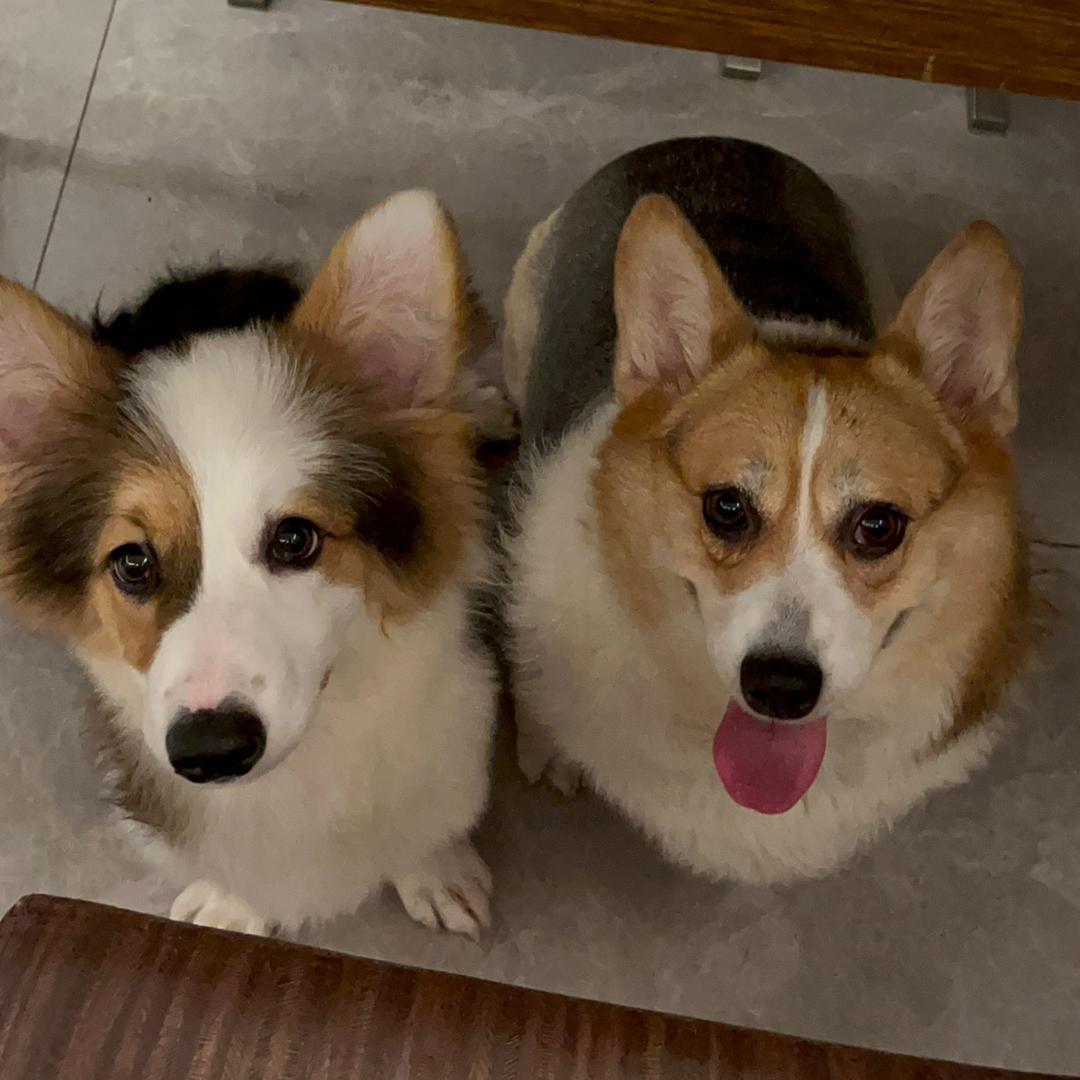 小七小九臭臭香香