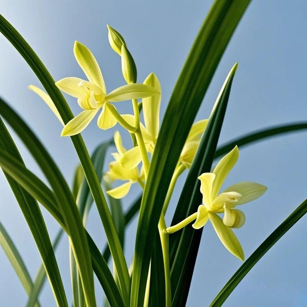 彭州熙麟农品小铺