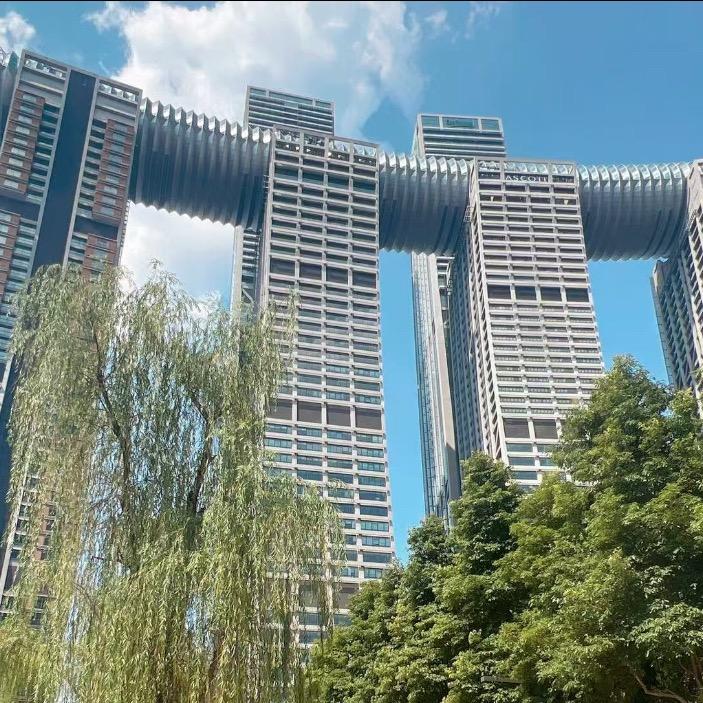 @土豆丝