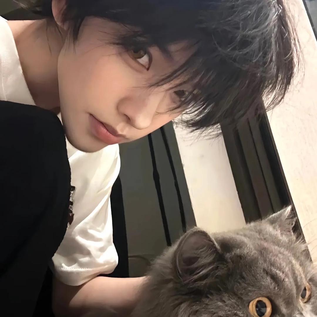 从这里找到我