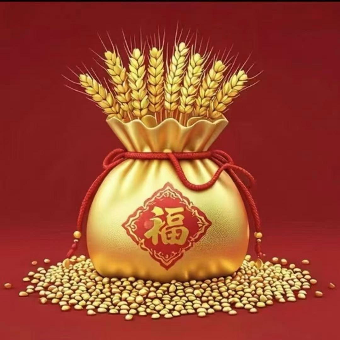 金丰专注千川投流