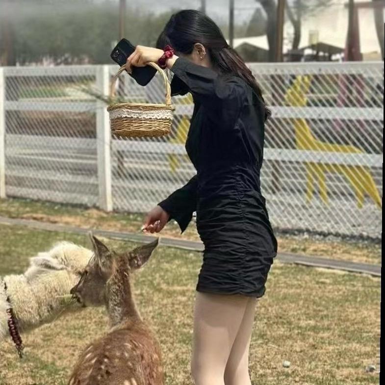 是小张呀！