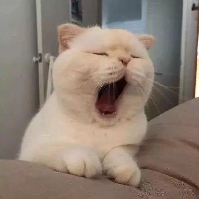 央盛男鞋