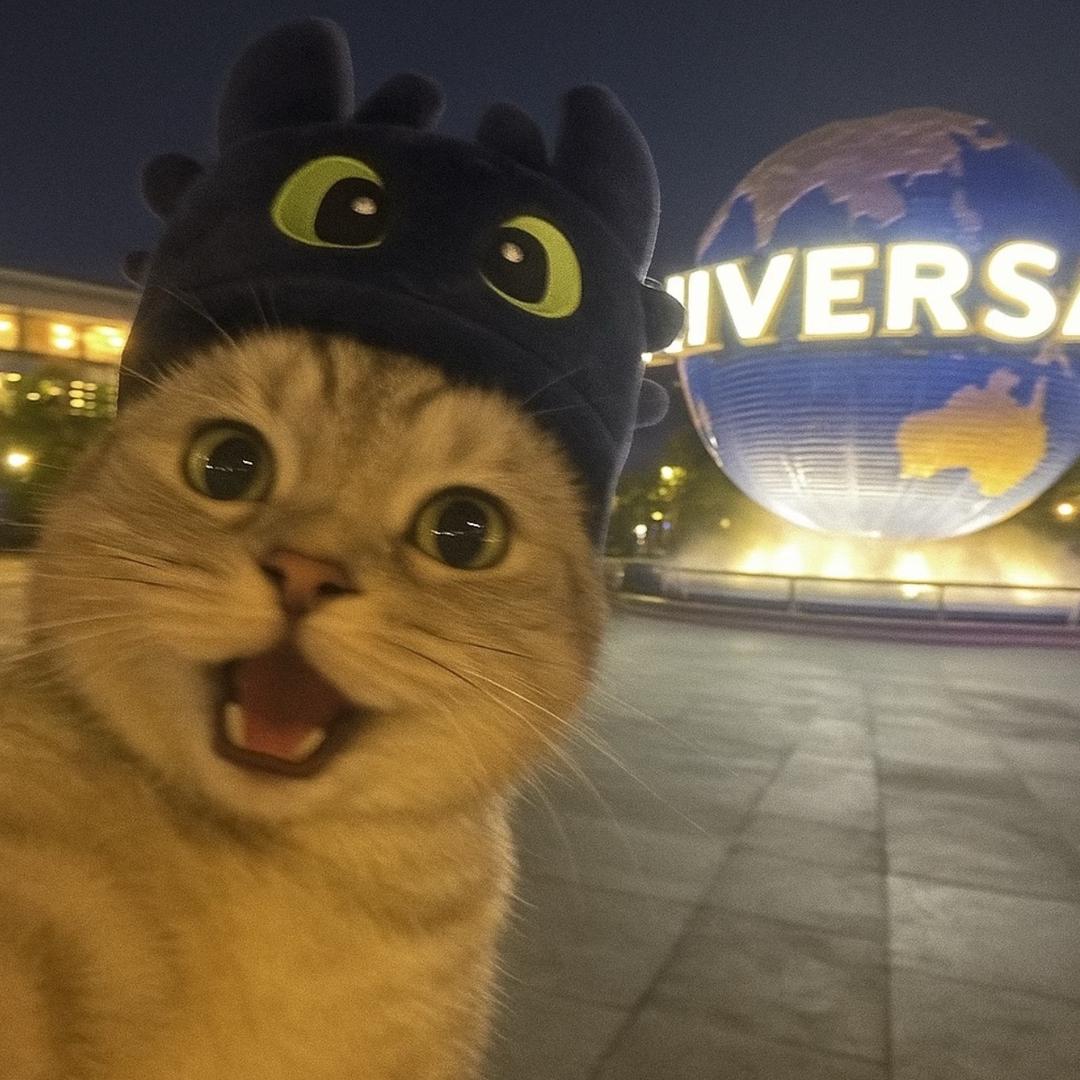 啊泡泡