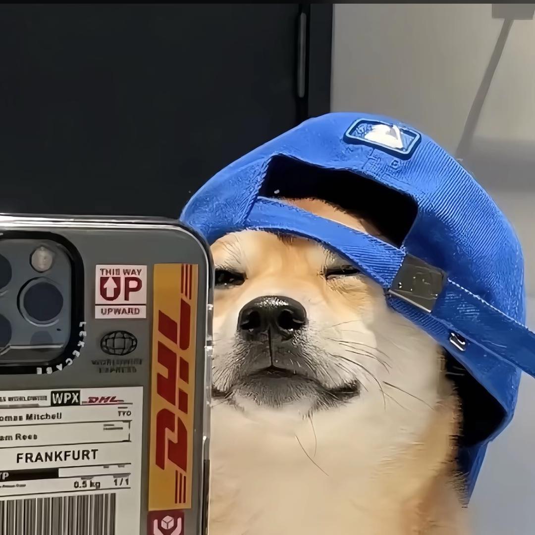 刘禹辰
