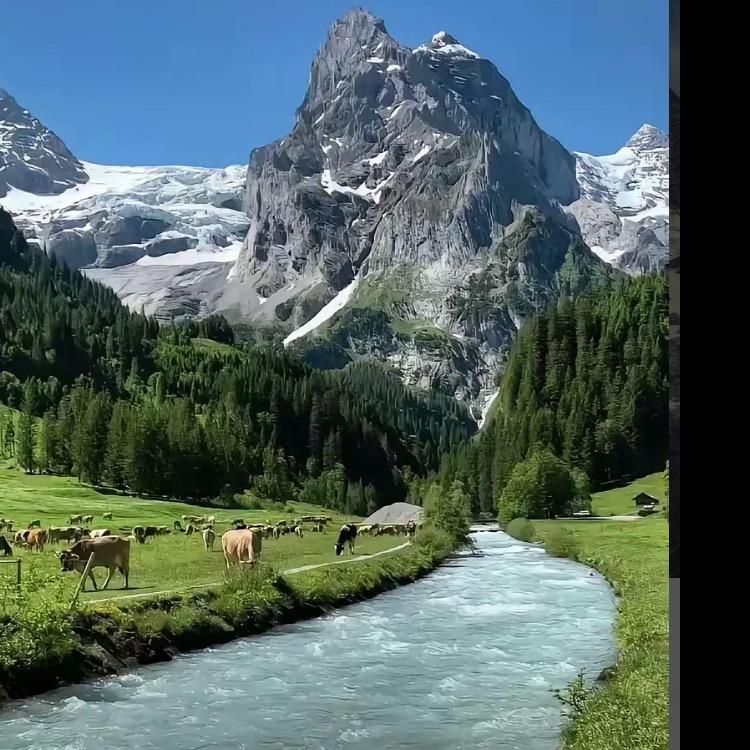 🌈留住岁月的记忆