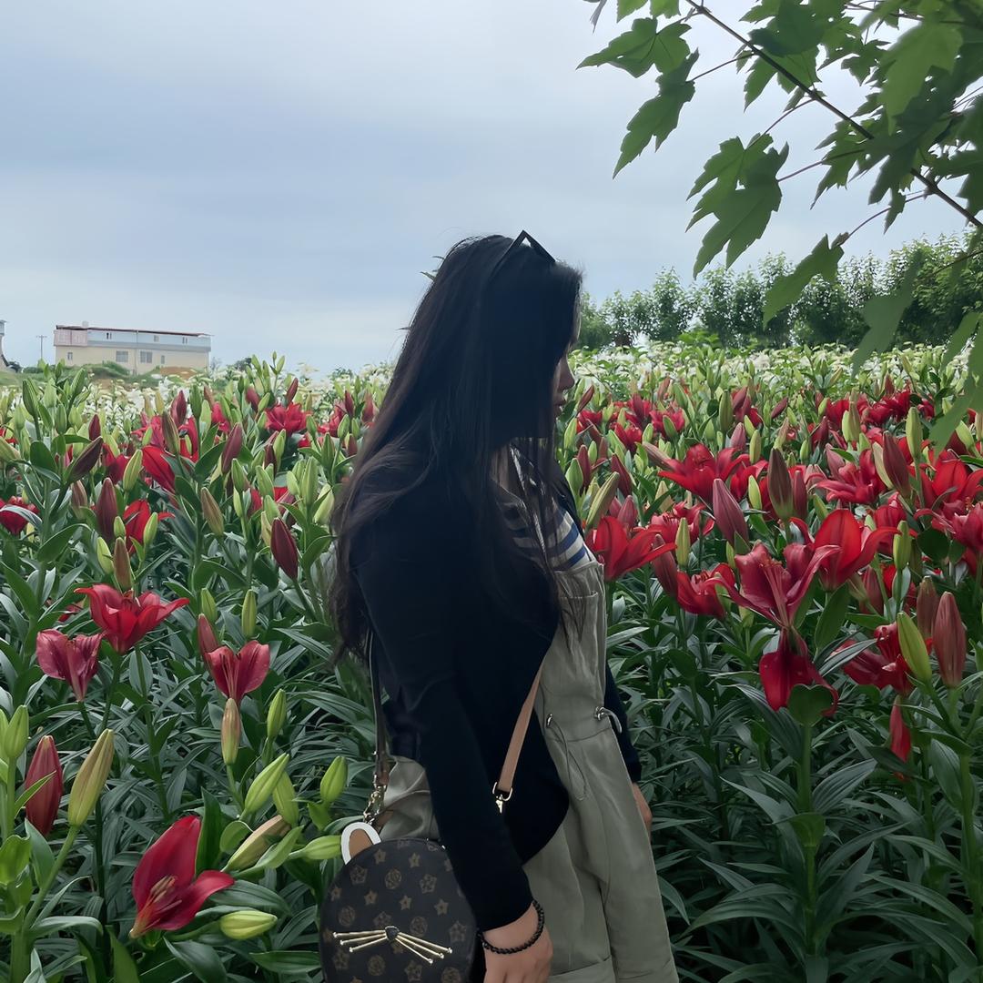 小肥杨杨