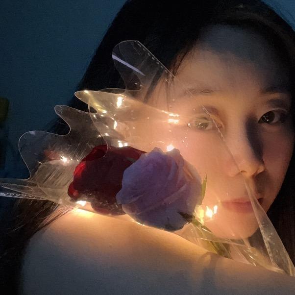 羊驼爱吃巧克力
