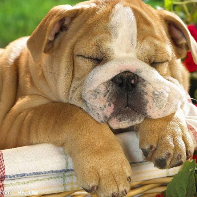 李白在酒吧喝酒