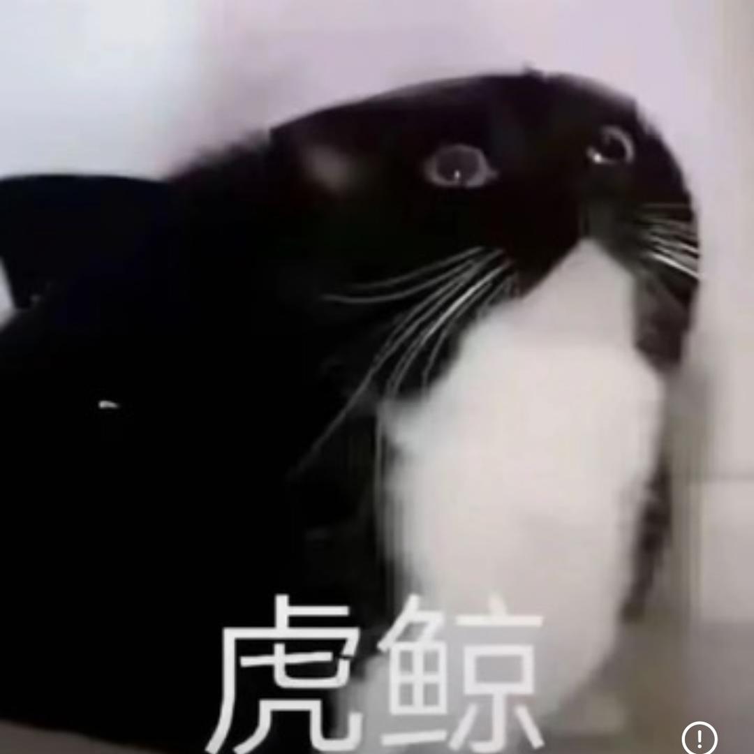 hh