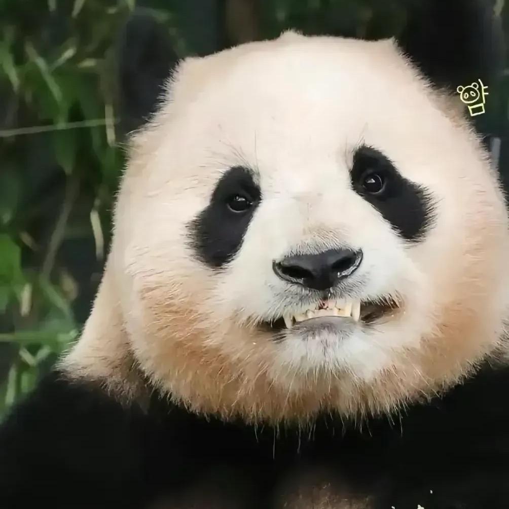 星辰大海22
