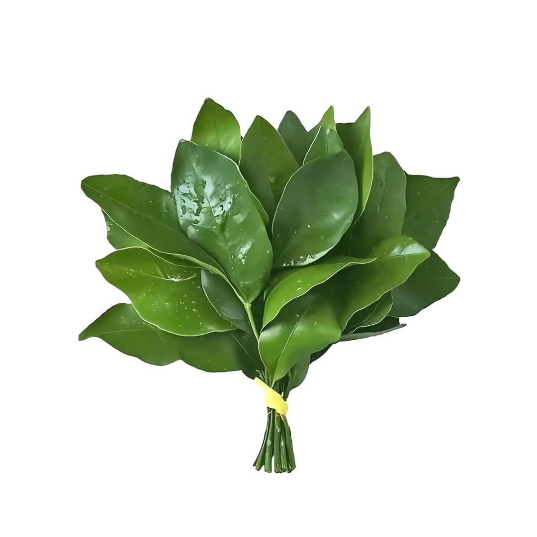 小呆嘞