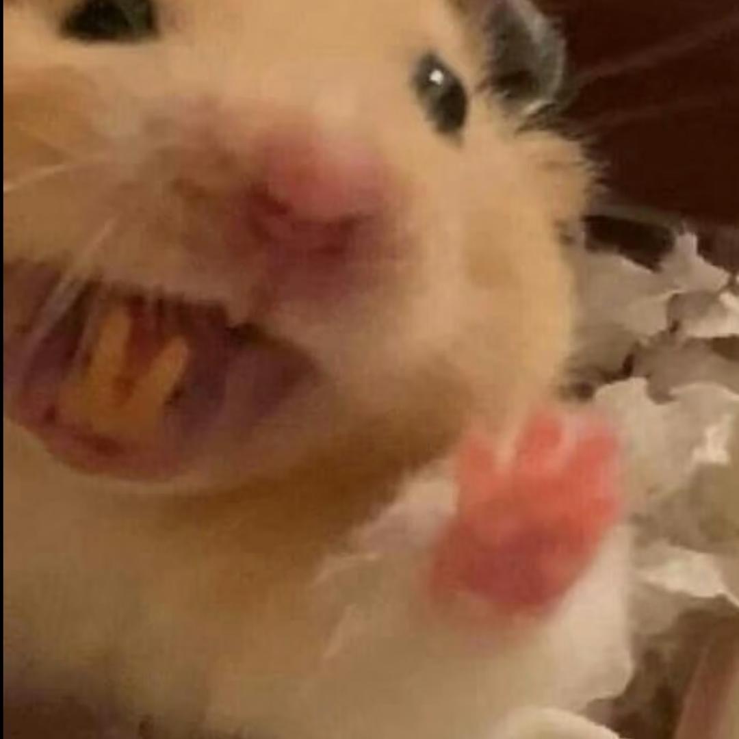 土豆鼠