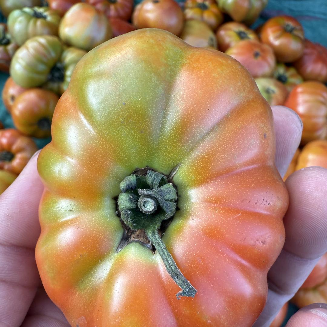 五妹臻选坊新鲜果蔬销售