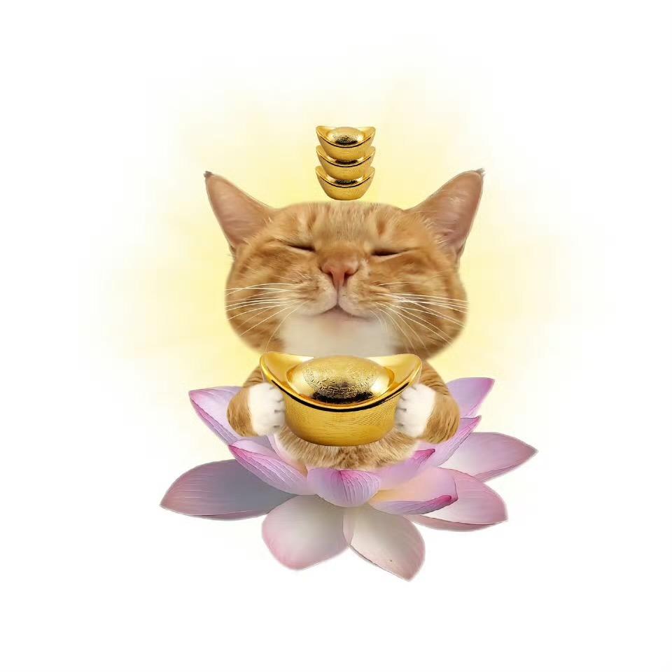 壳甜ke盐（营业版）