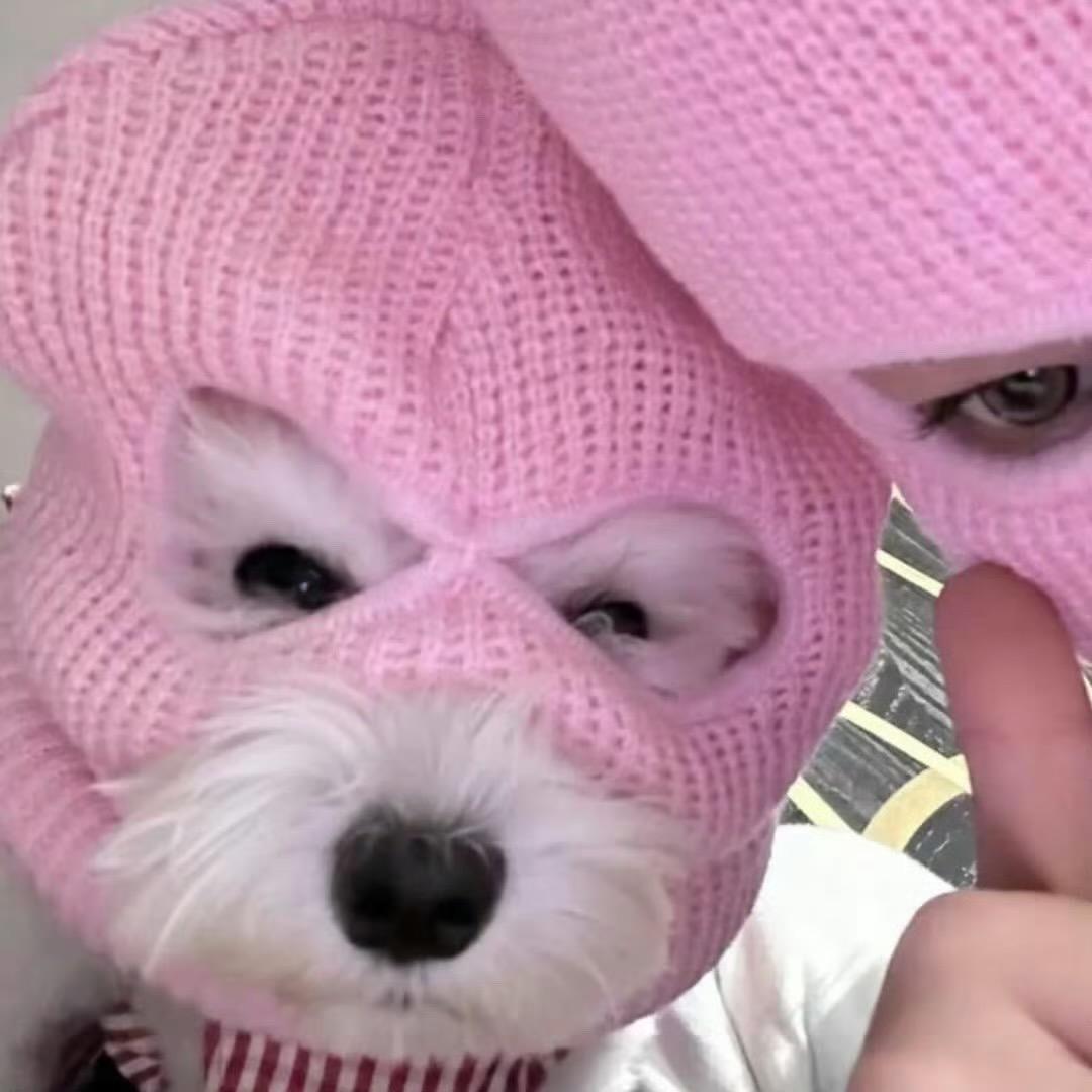 🌈叭啦叭叭叭