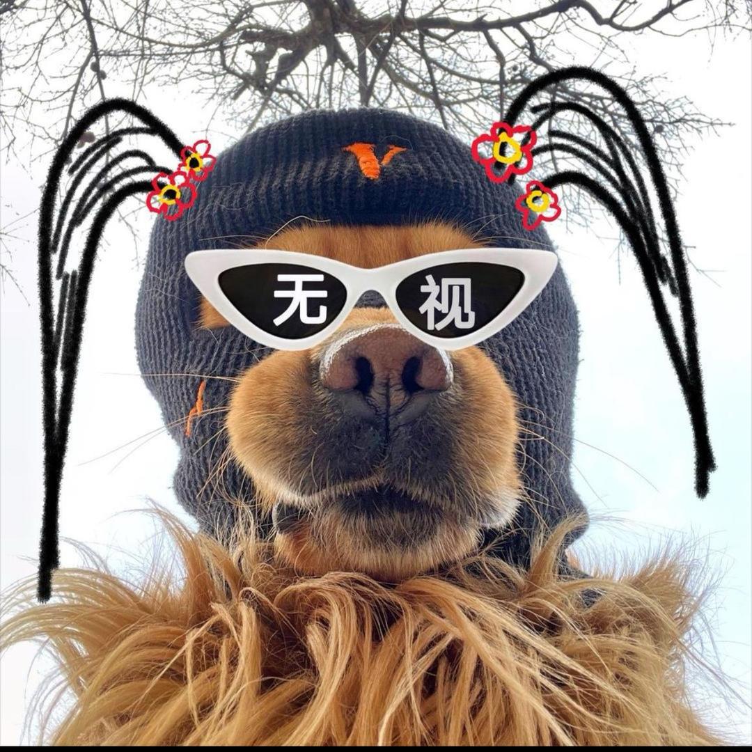 重生之我在毕节卖饭团