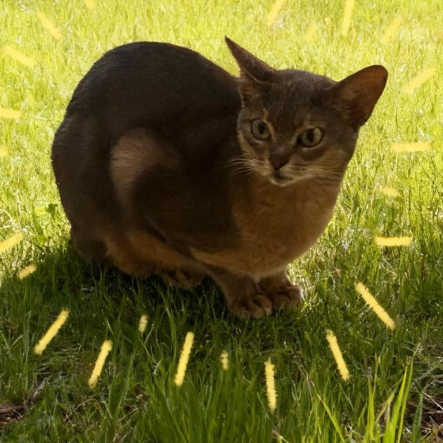 〰️
