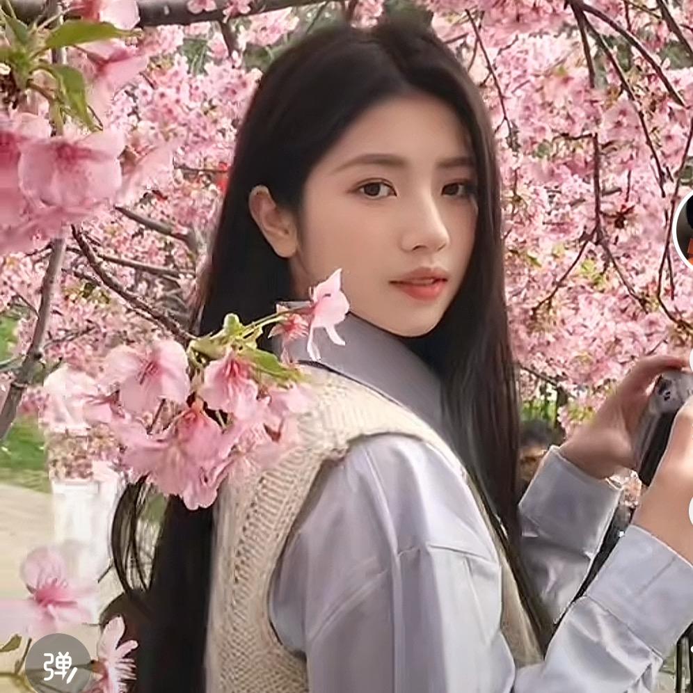 樱花🌸公主
