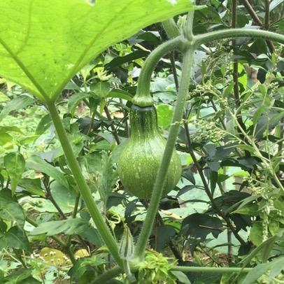 ☀給我一點陽光☀