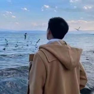 筱磊TF多开供应