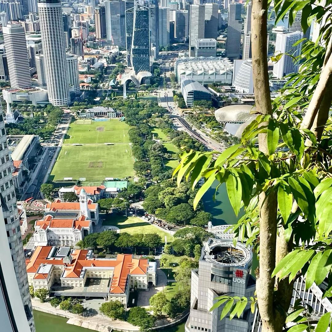 新加坡小郑