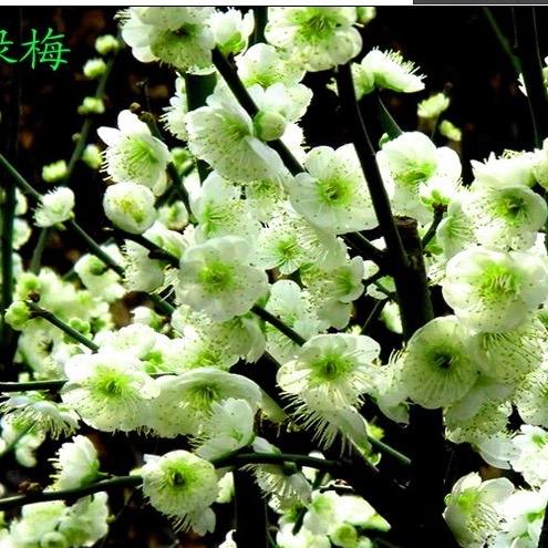 鑫宇轩环保设备有限公司