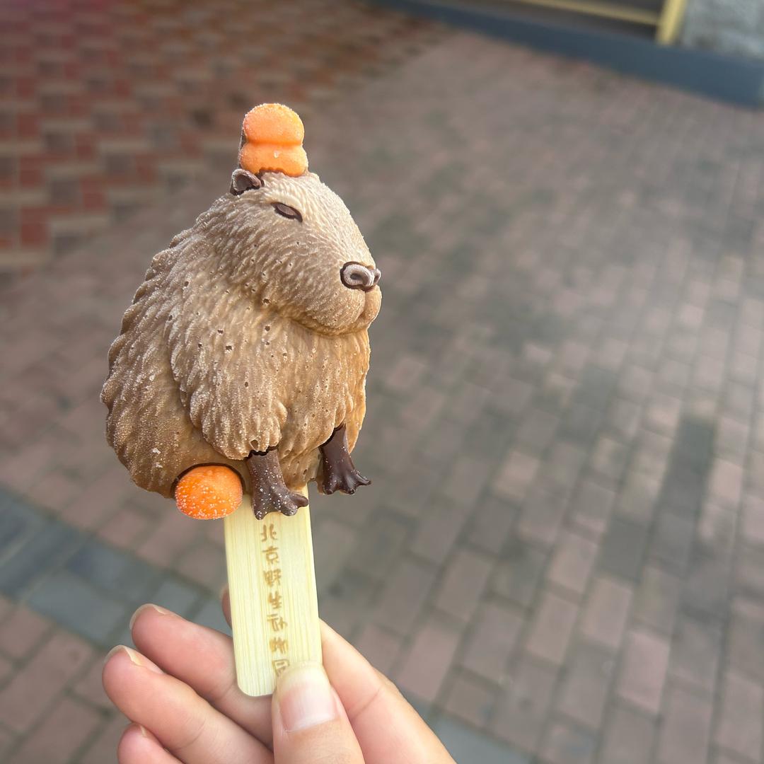 豆芽拌黄瓜