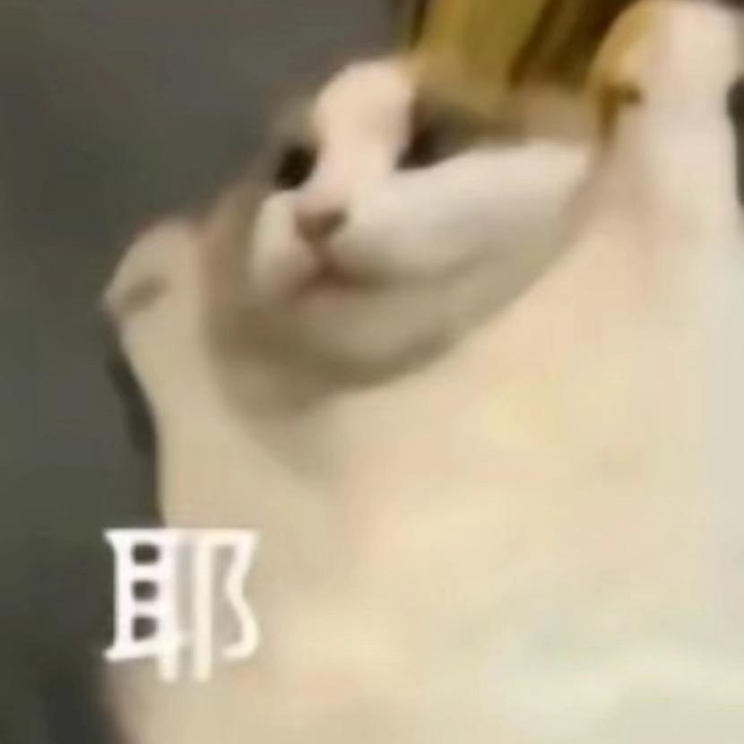 缄默zzZ