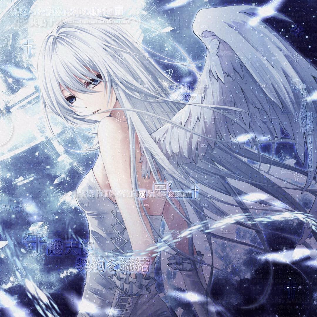 在下猫猫雨🌧️