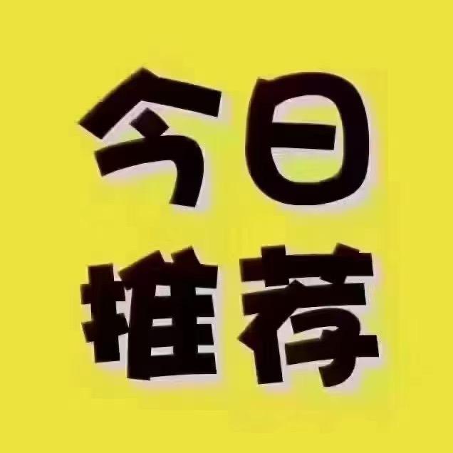 水墨风华nai